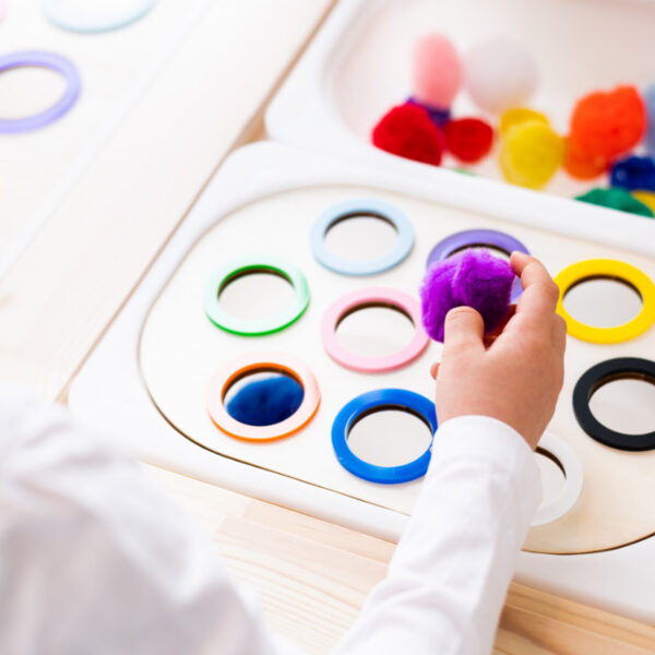 sortierplatte grundfarben igelkind motorikspielzeug motorik feinmotorik holzspielzeug holz kind kleinkind kindergarten stofftiger kinderspielzeug farbchips visuelle farbwahrnehmung farben zuordnen wortschatz bunt farben lernen