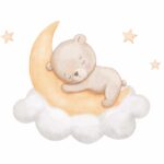 Mond Bär