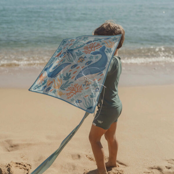 Blaues Ocean World Kinderdrachen-Set (65 x 65 cm) mit Ripstop-Polyester, Glasfaserstäben, Griff und Schnur – fliegt bei 2-5 Beaufort, ab 5 Jahren, meerkleurig für Outdoor-Abenteuer.